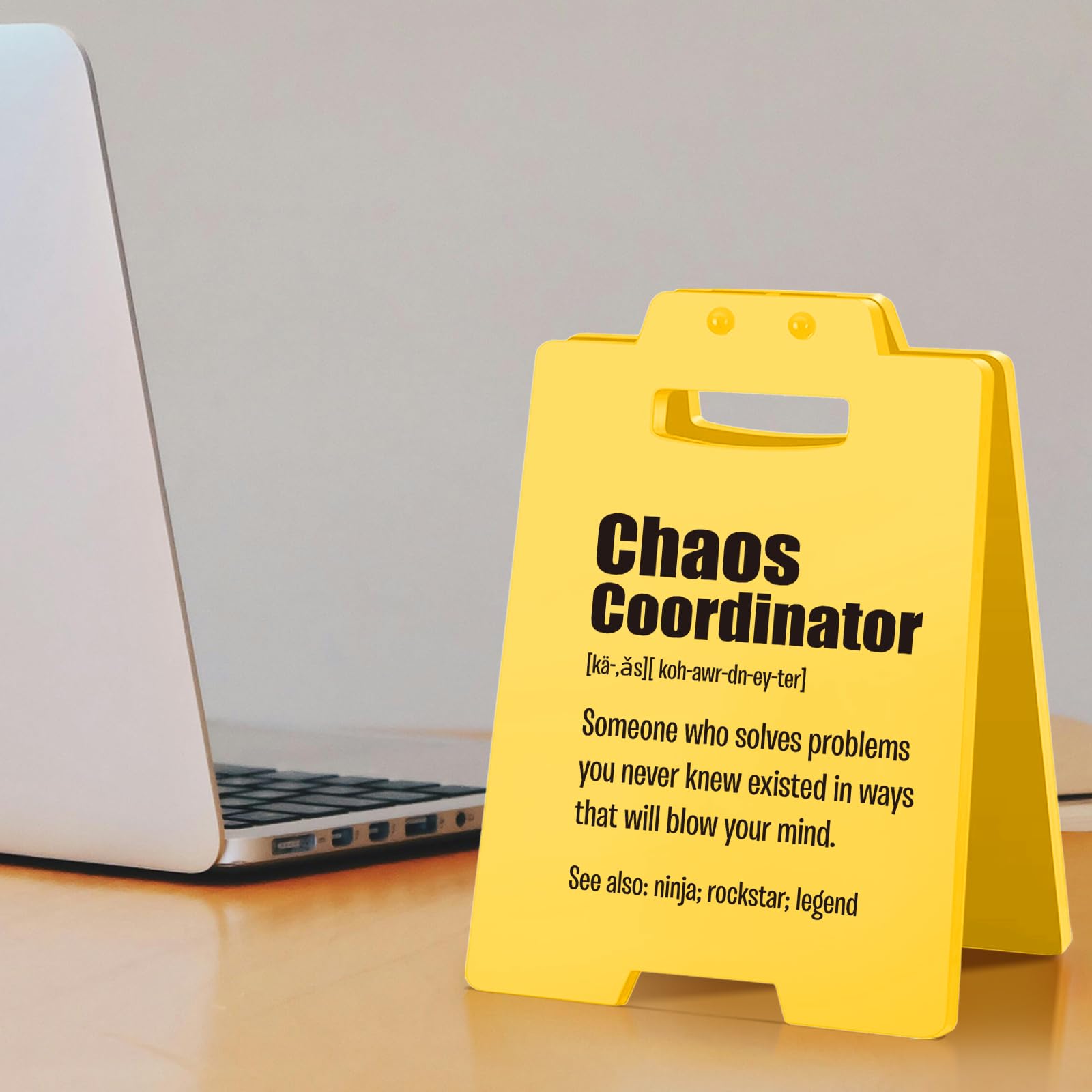 Chaos Coordinator Gifts | Funny Thank You Gift for Coworkers, Bosses, Managers, Teachers, Nurses Appreciation | Motivation Offic