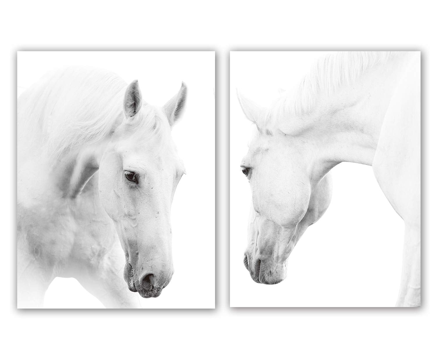 HPNIUB White Horse Wall Art Print Set Of 2 (12   X16   ,Unframed, Wild Horse Artwork, Animals Pictures of Horse Black White Canv