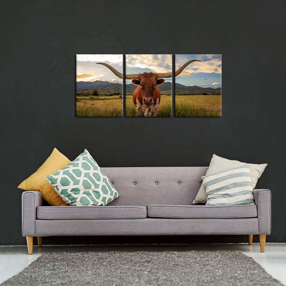 Iknow Foto 3 Piece Highland Cow Canvas Wall Art Prints Longhorn Photo Contemporary Paintings Farm Animals Pictures Giclee Artwor