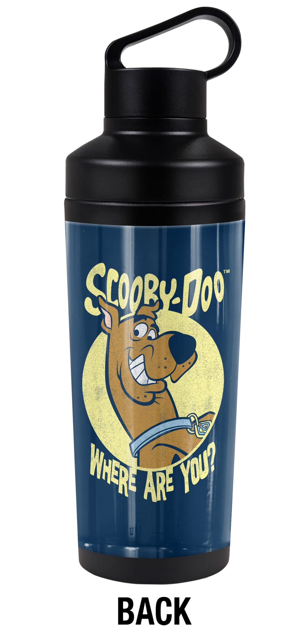 Scooby Doo! Official Where Are You 18 Oz Insulated Water Bottle, Leak Resistant, Vacuum Insulated Stainless Steel With 2-In-1 Lo
