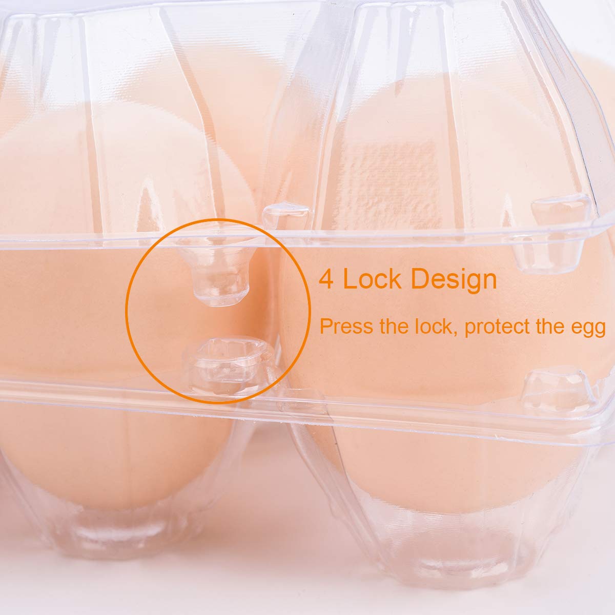 Bulkbuy Egg Cartons 60 Packs, Clear Eco-Friendly Plastic Blank Egg Cartons With Free Labels, Holds Up To 6 Duck Eggs Securely, P
