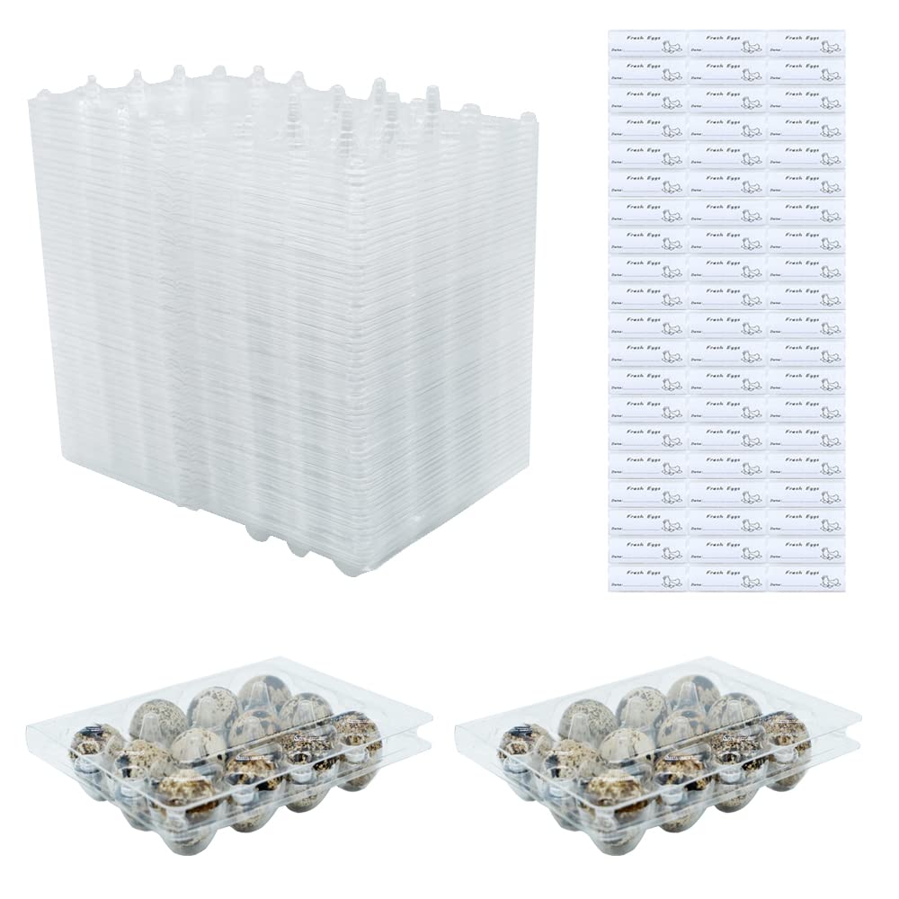 Bulkbuy Quail Egg Cartons 60 Packs, Clear Eco-Friendly Plastic Blank Egg Cartons With Free Labels, Holds Up To 12 Quail Eggs Sec