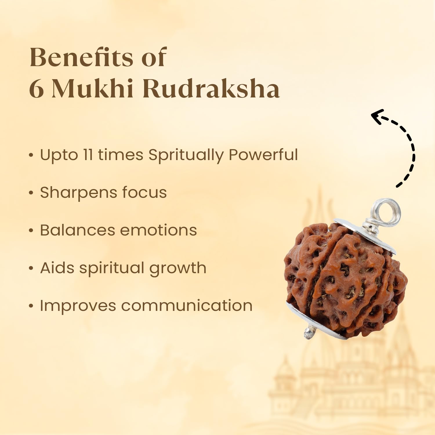 Astrotalk Nepal Origin 6 Mukhi Rudraksha with Silver-Capping | Boost Focus & Confidence | Mental Clarity, Willpower & Success | Sacred Rudraksha Bead for Women & Men