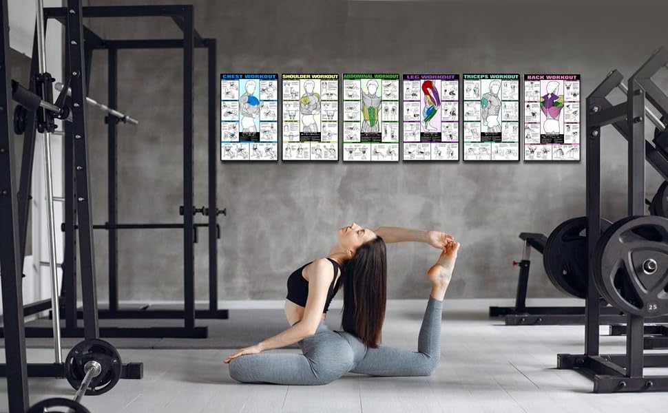Pixelartz Paper Wall Poster Motivational Workout And Exercises Illustrations Bodybuilding Gym Posters Hd Quality Posters For Hom