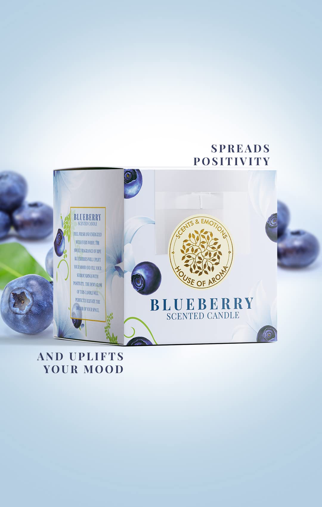 House of Aroma Blueberry Scented Glass Candle Made of Beeswax, Paraffin Wax & Aromatic Oils, Burns Up to 10-12 Hours| Fragrance