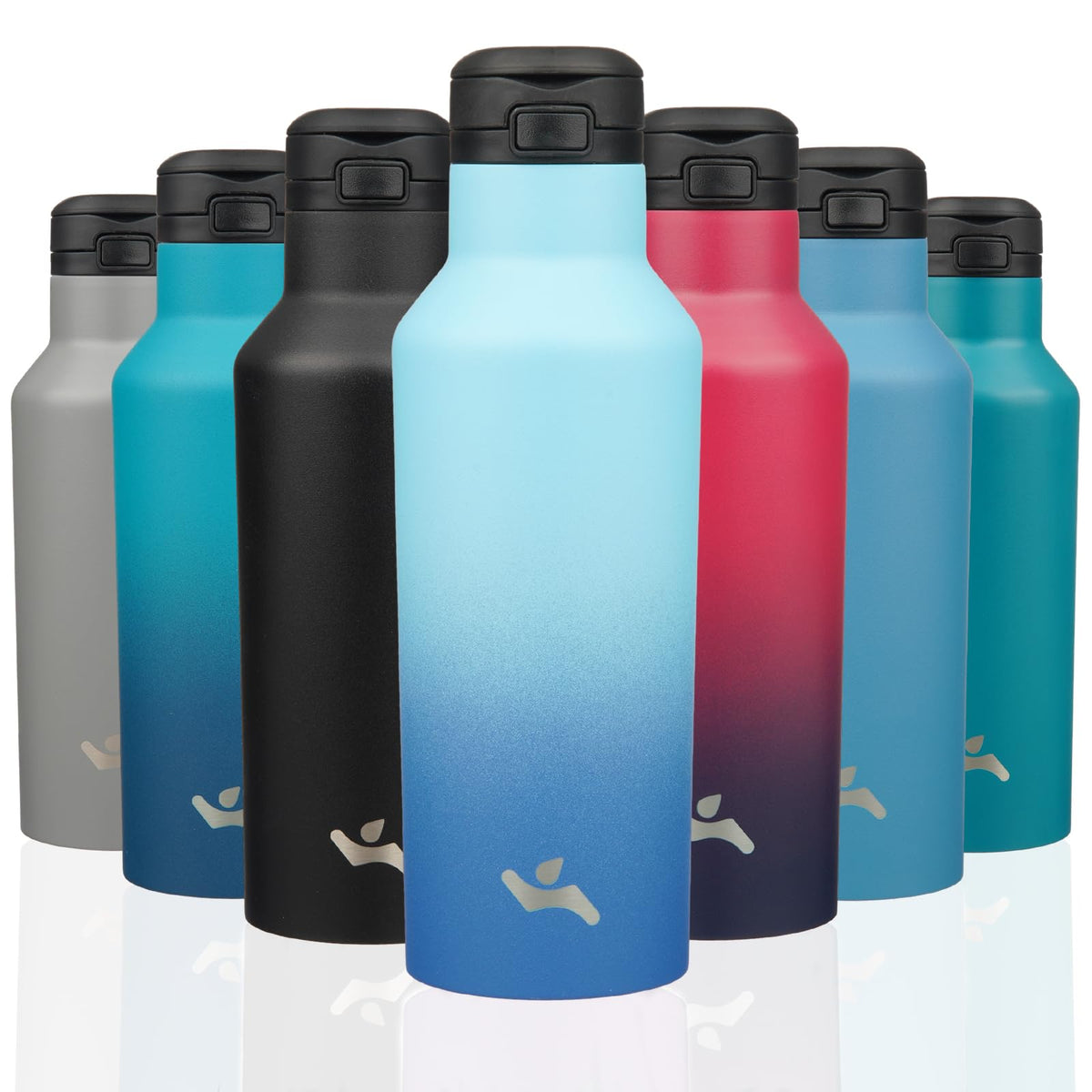Insulated Water Bottle with Straw,17 OZ Double Wall Vacuum Stainless S ...