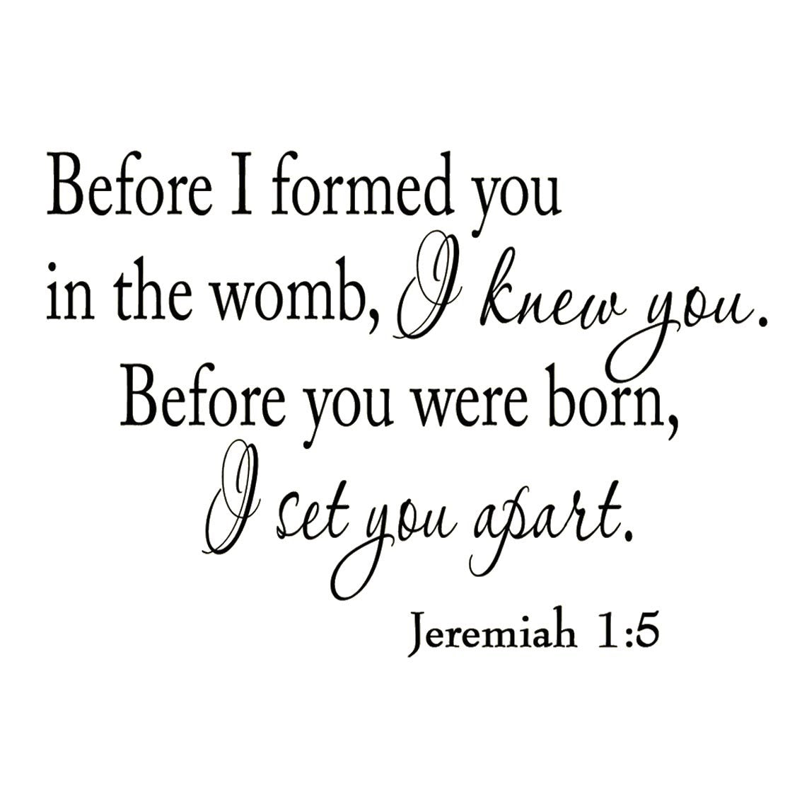 Before I Formed You in The Womb I Knew You. Before You were Born, I Set You Apart. Jeremiah 1-5 Vinyl Wall Art Religious Home De