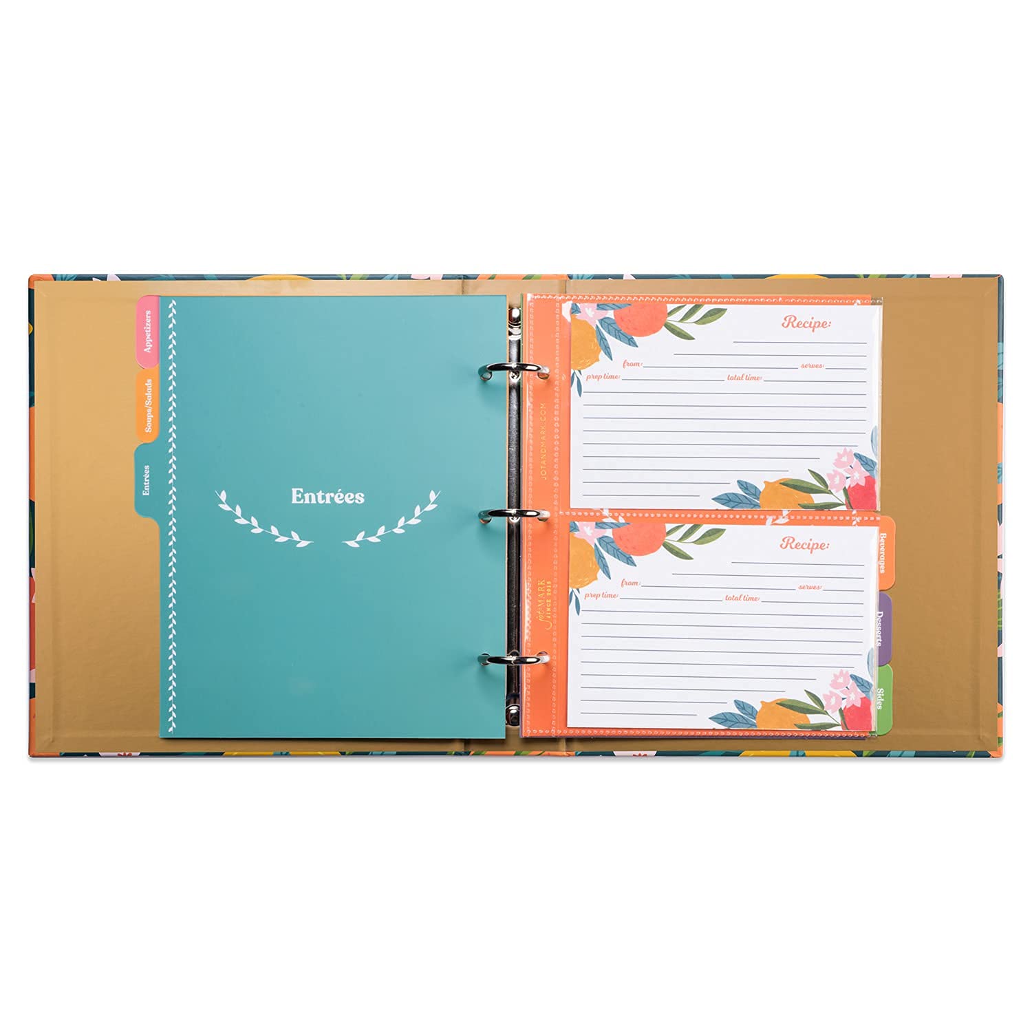 Jot & Mark Binder Page Protectors for 4x6 Recipe Cards or Photos (50 Count)  Crystal Clear Plastic Archival Sleeves fit 3 Ring Binders (8.5'' x 9.5''  2 Pocket)