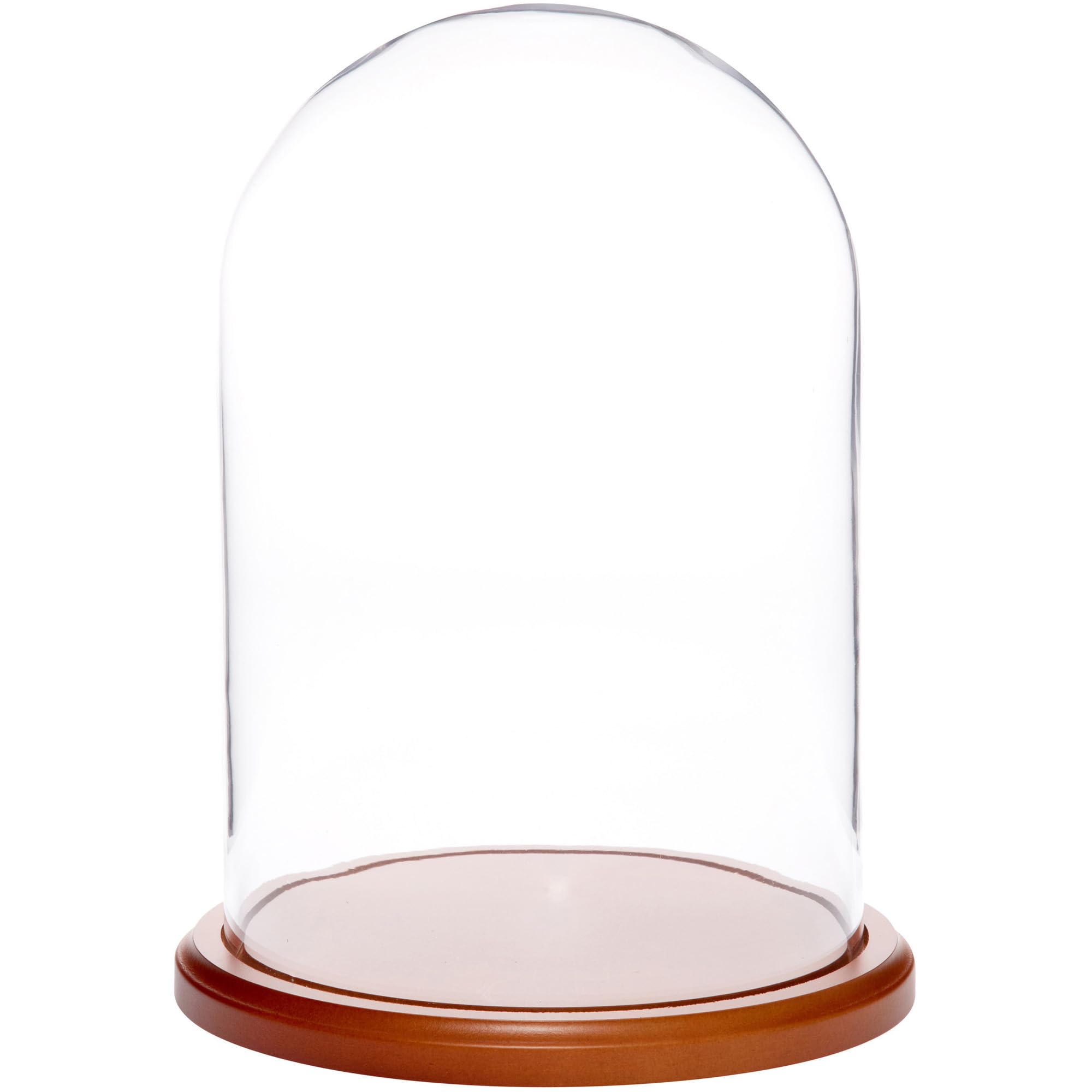 Plymor 8 x 12 Glass Display Dome Cloche (Walnut MDF Base)