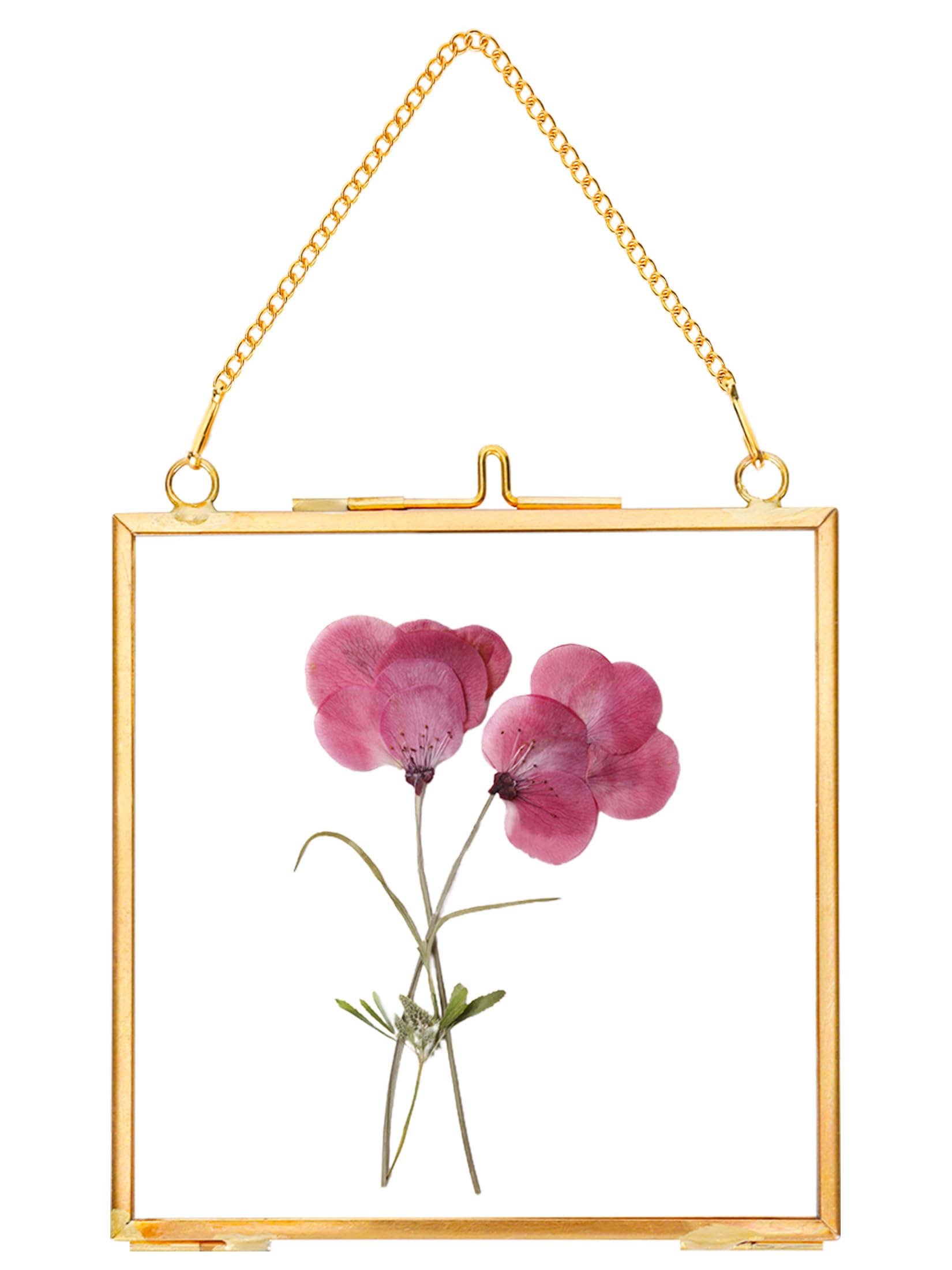 REDHUGO Glass Pressed Flower Frames,Vintage Hanging Picture Frames with Chain,Handmade Brass Floating Picture Frame,Plant Specim