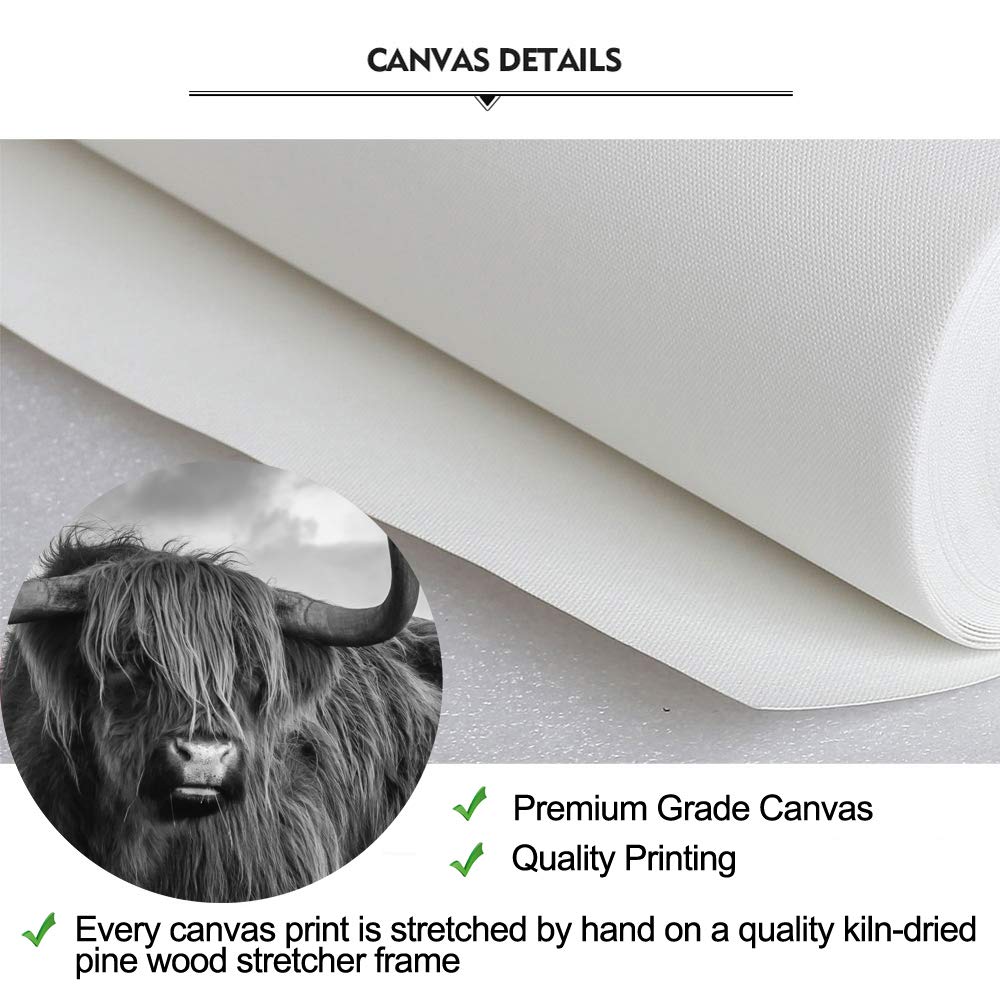 iKNOW FOTO Canvas Print Wall Art Black and White Freedom Highland Cow Pictures Painting for Living Room Bedroom Modern Home Decor Ready to Hang Stretched and Framed Artwork 12x16inchx3pcs