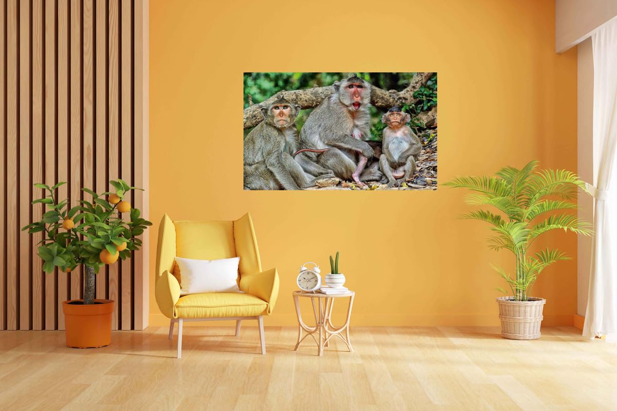 Baldau Prints Monkey Langur Photo Big Size Flex Wall Poster For Room (Gloss Finish, 24X36 Inch, 210 Gsm) F-328