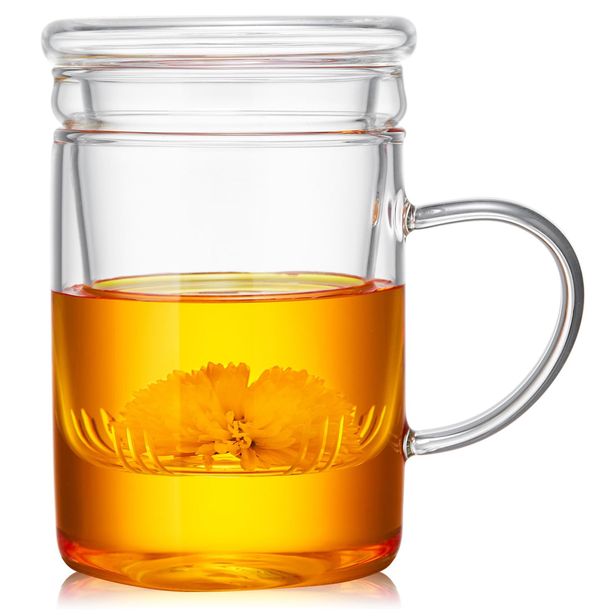 Unbreakable Glass Tea Cup With Infuser And Lid 17 Fl Oz, Heat Resistant Borosilicate Glass, Tea Infuser Mug For Blooming And Loo