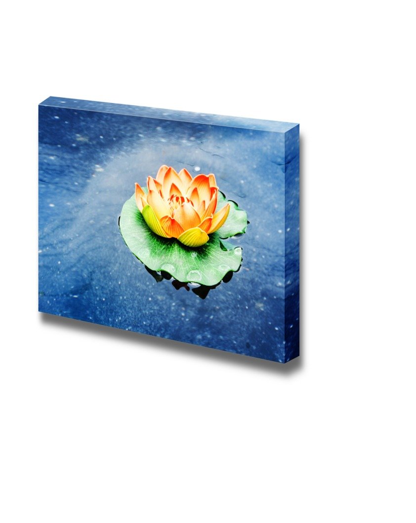 Canvas Prints Wall Art - Colorful Lotus In Day Light On The Clear Water | Modern Wall Decor/Home Decoration Stretched Gallery Ca