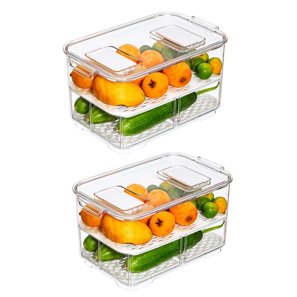 Blitzlabs Fridge Produce Saver Containers Storage Bin Containers Freezer Storage Containers Bins Fresh Keeper Container Produce