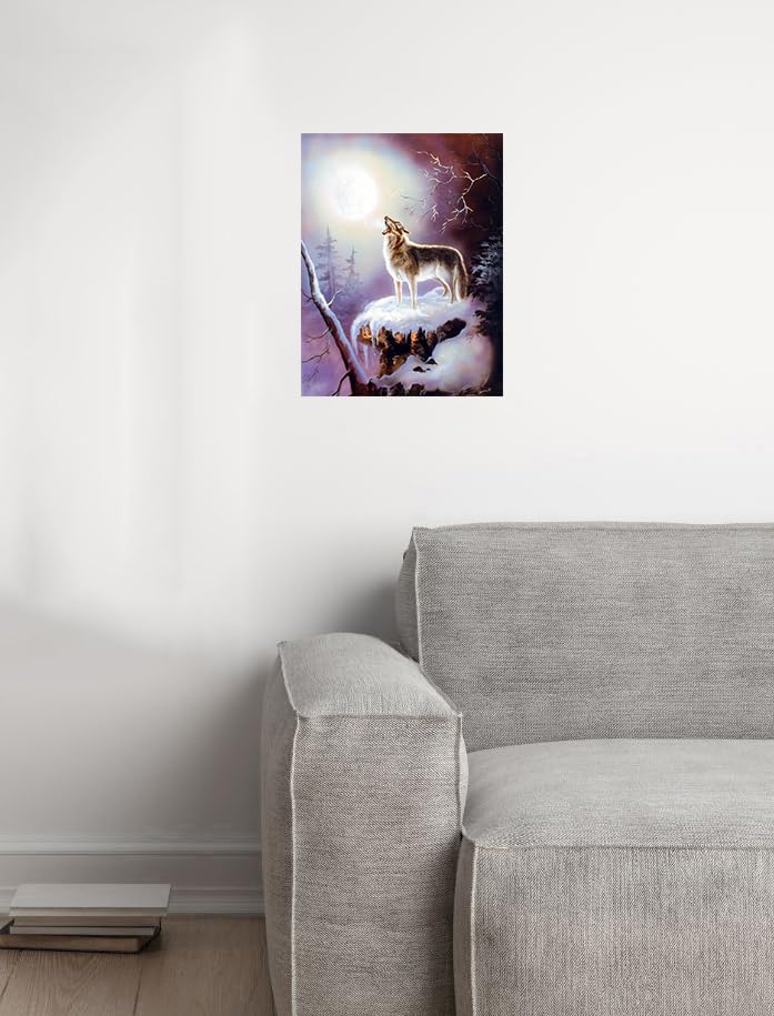 Warrior 'S Wolf Song Native American Wall Decor Art Print Poster Picture (16X20)