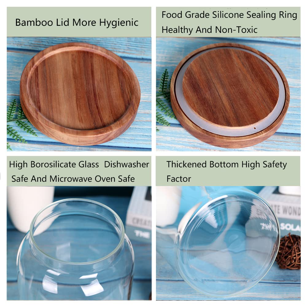 Leaves And Trees Y 1 Gallon Glass Jar With Airtight Lid And Anti-Skid Bottom For Dry Food Storage