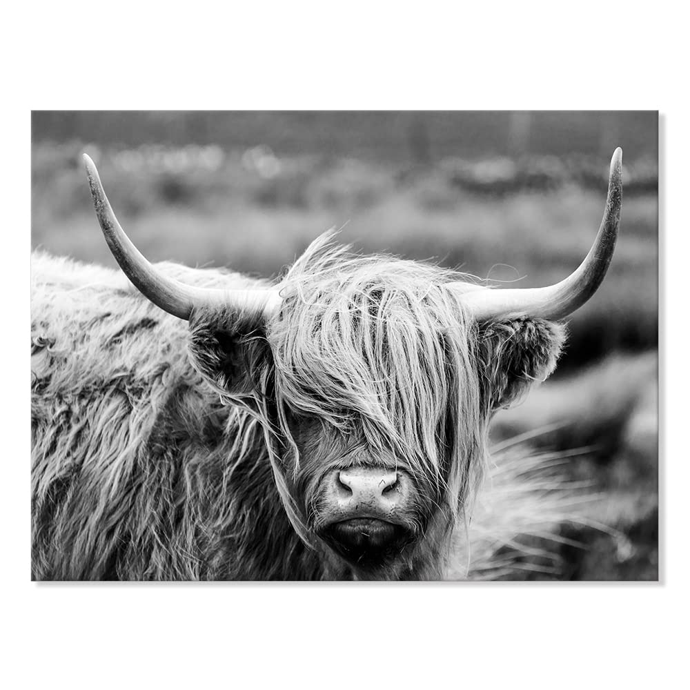Seven Wall Arts Highland Cow Photography Wildlife Portrait Picture Black And White Closeup Animal Print Scottish Highland Cattle