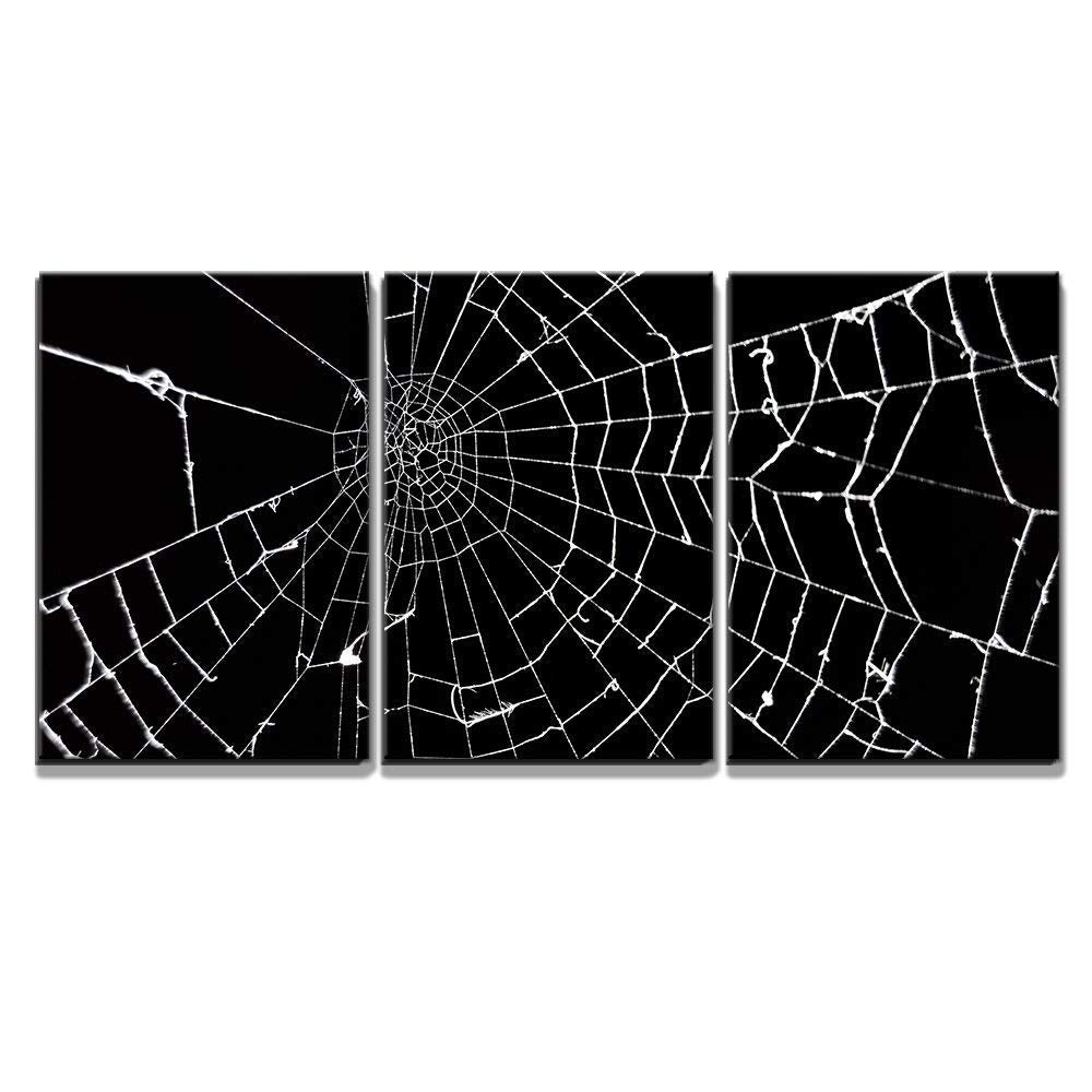 Wall26 - 3 Piece Canvas Wall Art - Spider Web On Black Background - Modern Home Art Stretched And Framed Ready To Hang - 16''X24