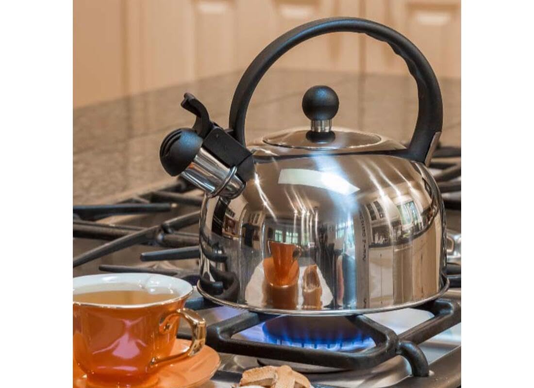 Primula Stainless Steel 2.5 Qt. Whistling Stovetop Tea Kettle (Ptk-6525)