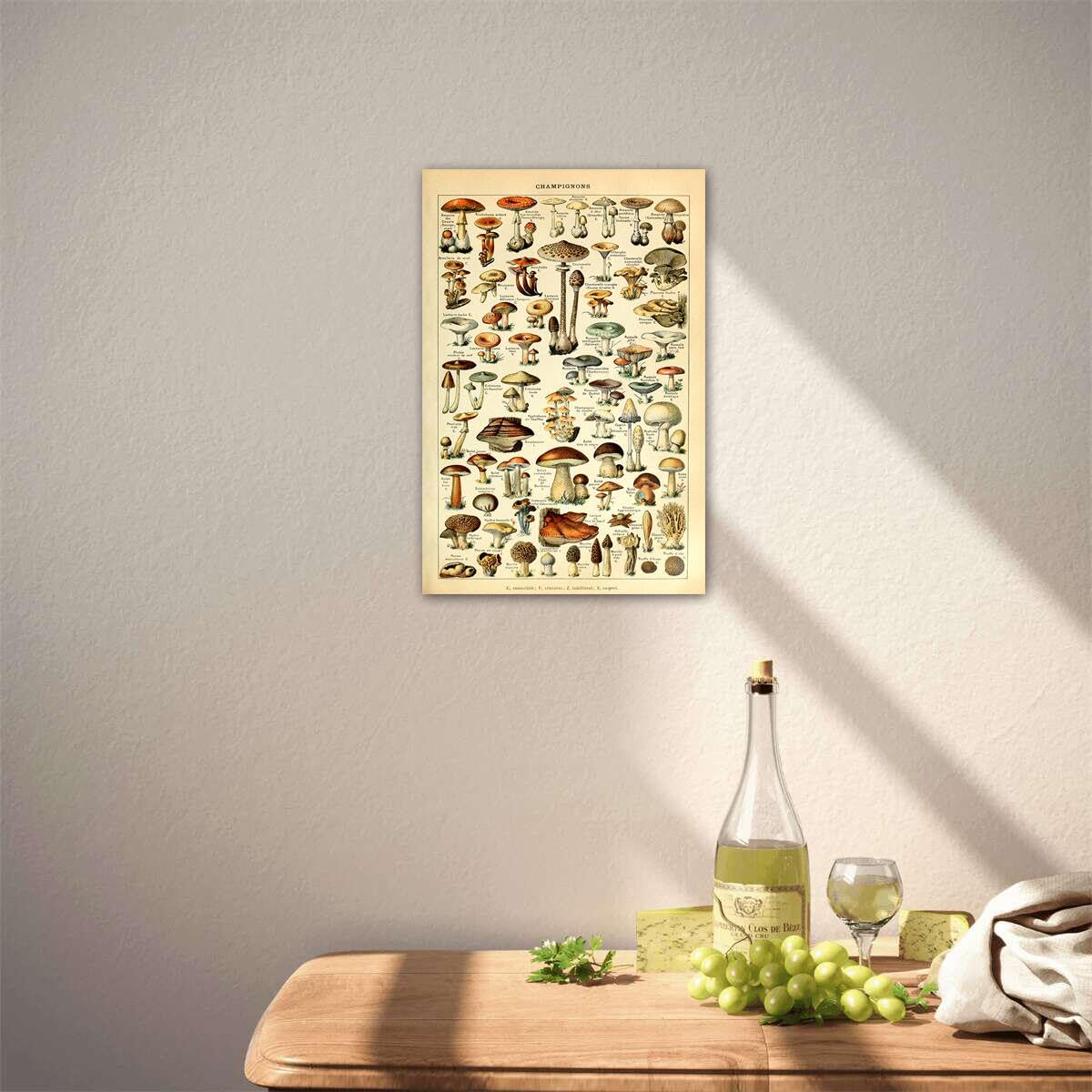 Meishe Art Vintage Poster Print Mushrooms Champignons Identification Reference Chart Diagram Illustration Botanical Educational Wall Decor
