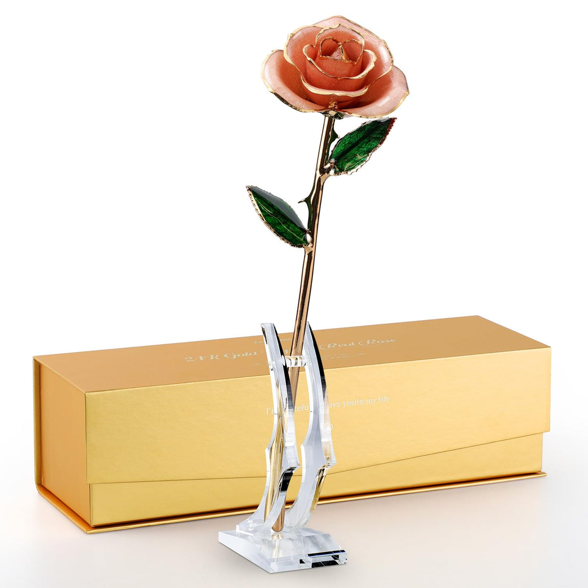 Eco Space Gold Dipped Rose, 24K Gold Rose - Genuine Hand-Dipped Real R ...