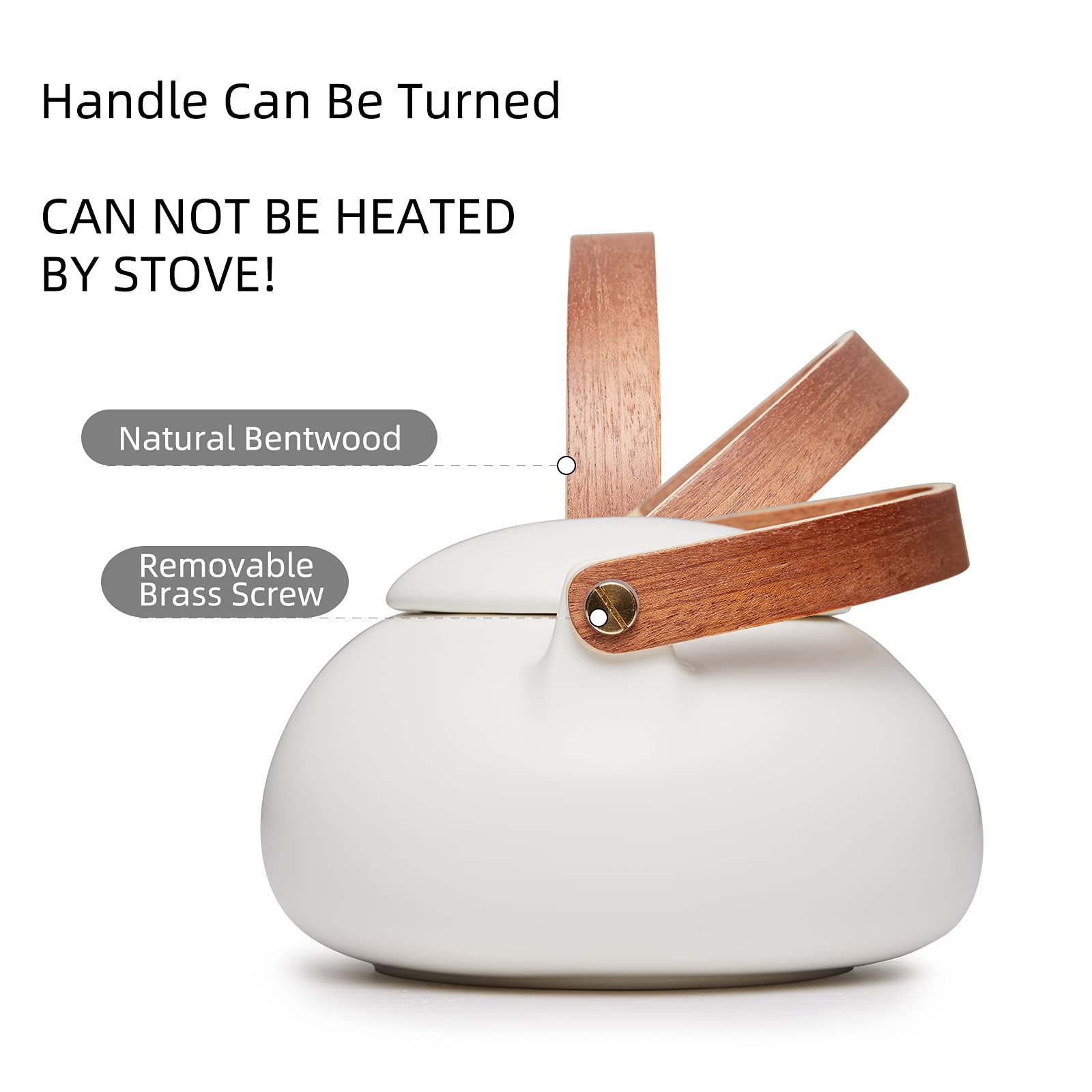 ZENS Modern Japanese Tea Set, 27 oz Ceramic Japanese Teapot with Fine Stainers and 4 Cups for Loose Leaf Tea Steeper, Wood Handl