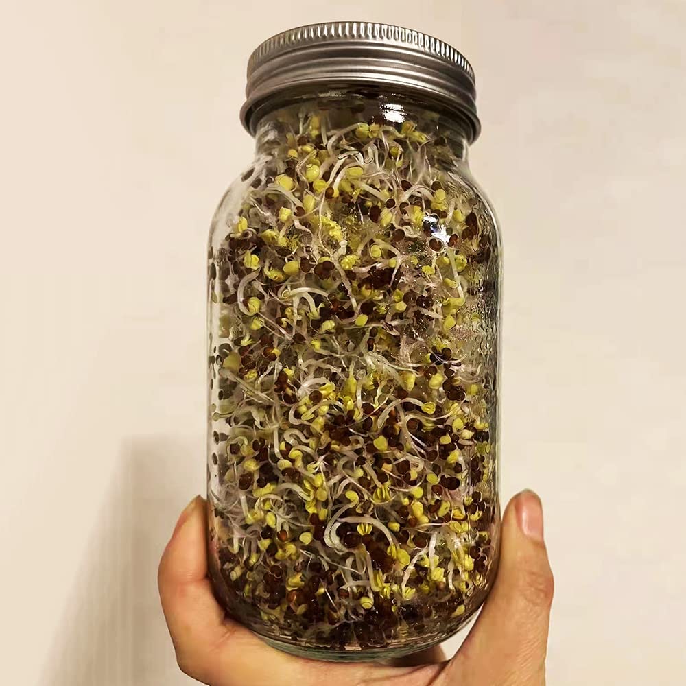 12 Pack Sprouting Lids,304 Stainless Steel Screen Filter Strainer Lid For 3.38 Inch Wide Mouth Mason Jar, Mesh Bean Sprout Sieve