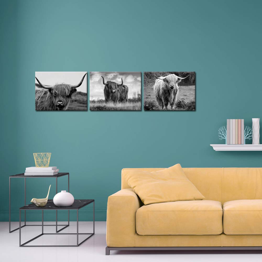 iKNOW FOTO Canvas Print Wall Art Black and White Freedom Highland Cow Pictures Painting for Living Room Bedroom Modern Home Decor Ready to Hang Stretched and Framed Artwork 12x16inchx3pcs