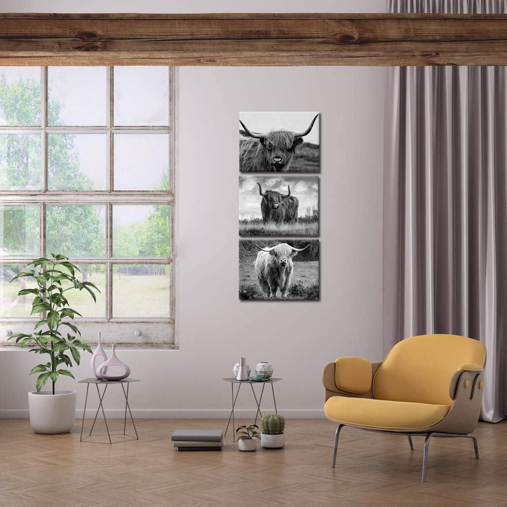 iKNOW FOTO Canvas Print Wall Art Black and White Freedom Highland Cow Pictures Painting for Living Room Bedroom Modern Home Decor Ready to Hang Stretched and Framed Artwork 12x16inchx3pcs
