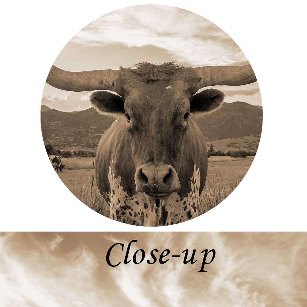 KREATIVE ARTS Sepia Animal Canvas Wall Art Highland Cattle with Long Horns Picture Texas Longhorn in Sunset Farm Painting for Home Decor Modern Living Room Decorations Ready to Hang 24x36in