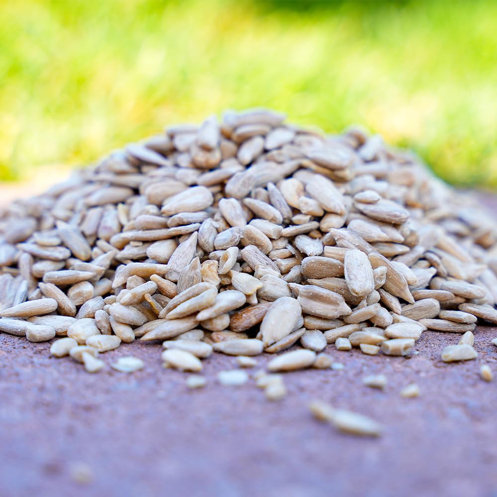 Desert Valley Premium Sunflower Seed Hearts and chips - Wild Bird Food, cardinals, Jays  More (10-Pounds)