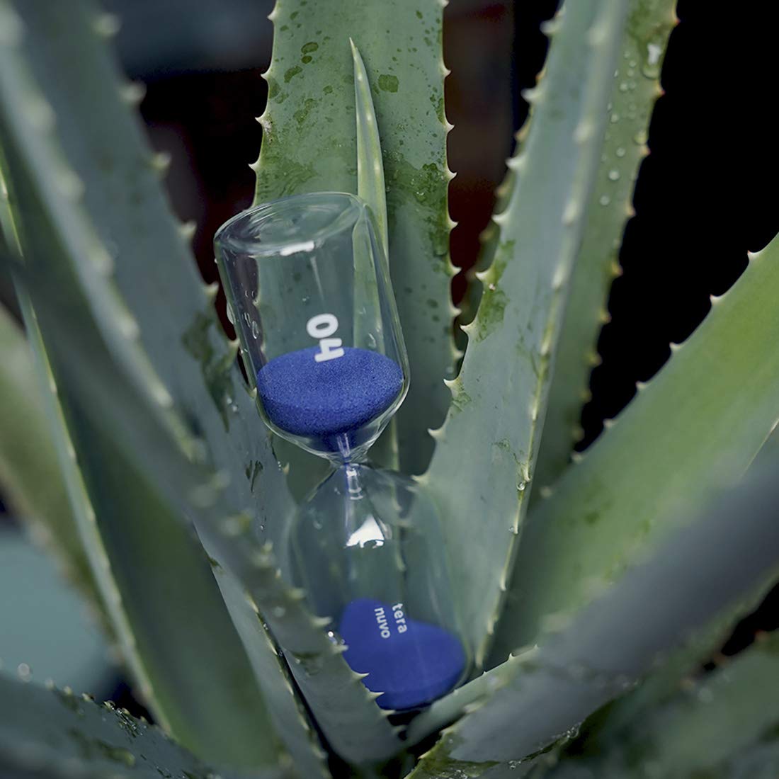 Teranuvo Hourglass - [4 Minutes][Shock Resistance][Perfect Timer For Medium-Dark Coffee]