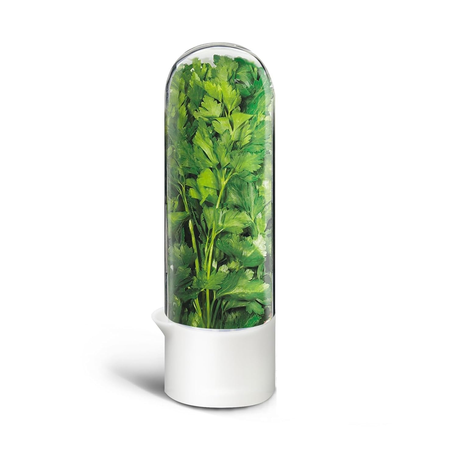 Celestick Herb Keeper For Refrigerator, Fresh Herb Storage Container With Clear Dome, Keeps Cilantro Mint Parsley Asparagus Fres
