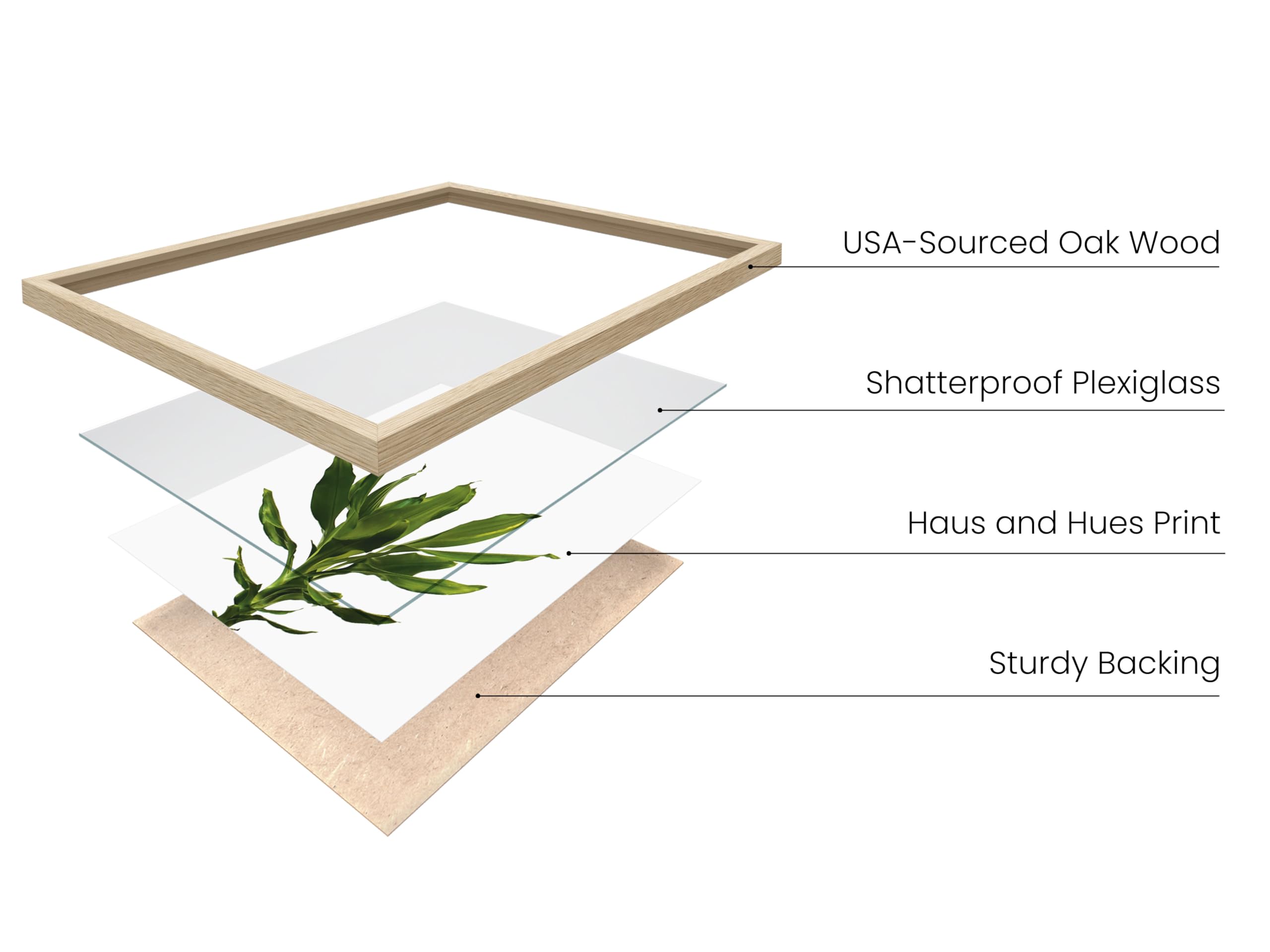 Haus And Hues Plant Wall Art - Set Of 4 Plant Pictures Wall Art And Green Wall Art Collection, Botanical Prints, Sage Green Leav
