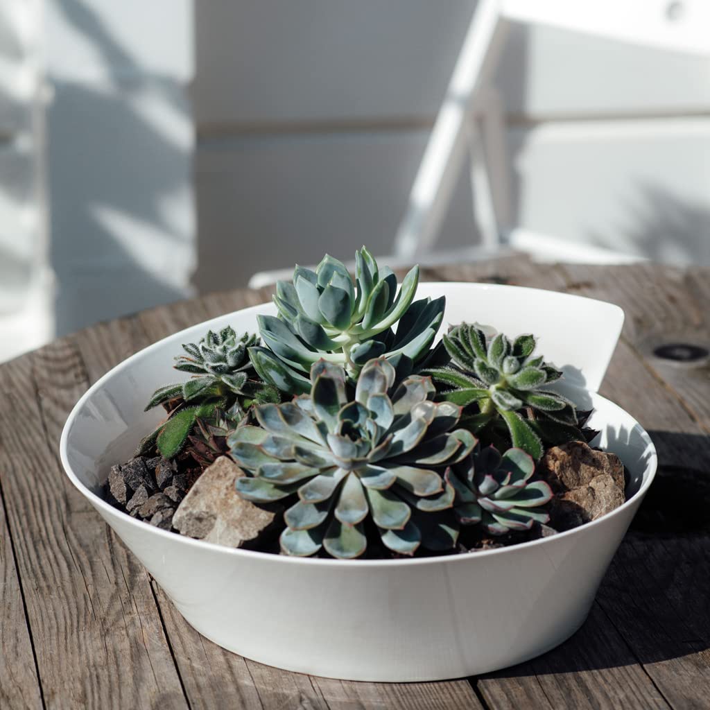 Villeroy & Boch New Wave Large Round Salad Bowl, 94.5 Oz, White