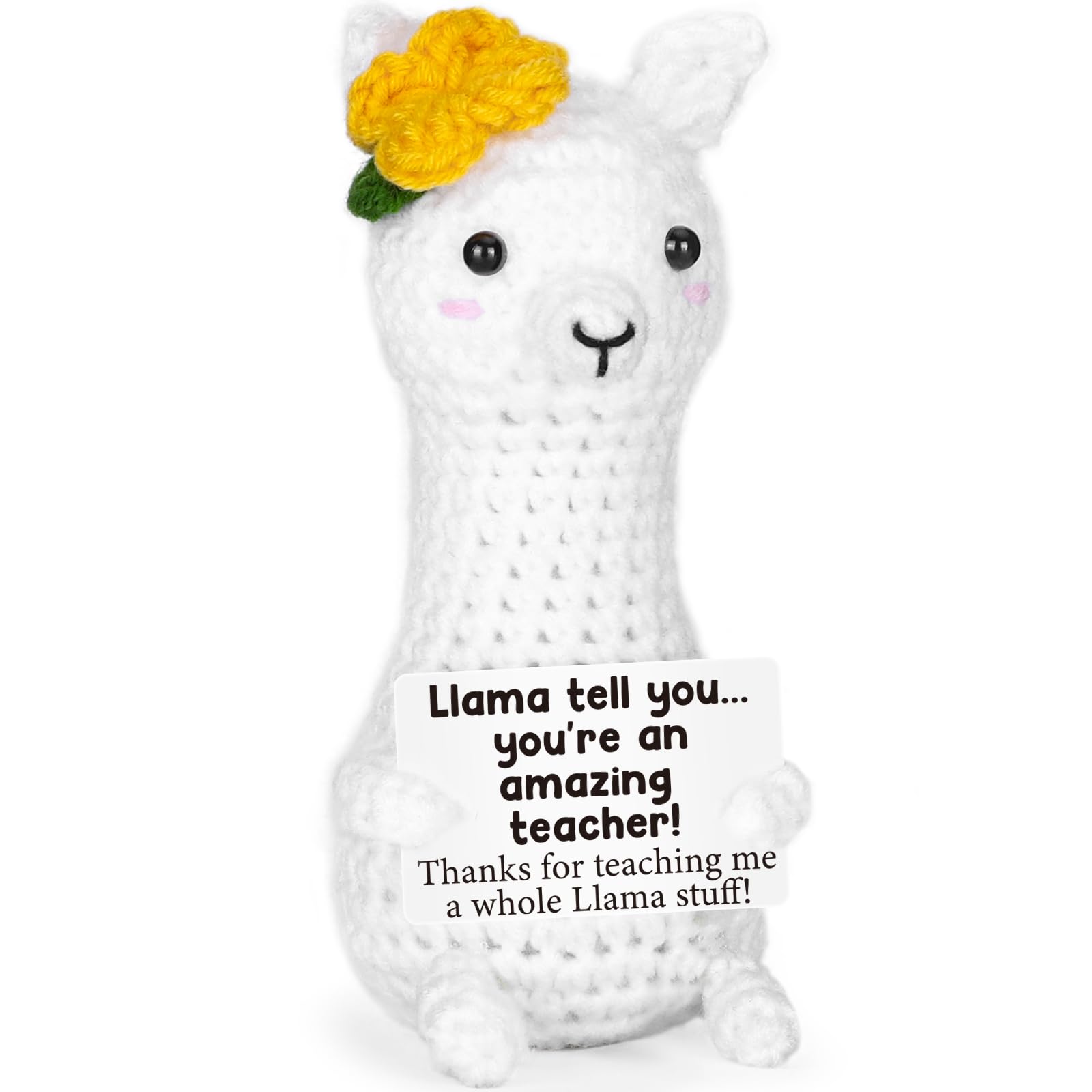 Christmas Teacher Gifts for Women Men, Thank You Appreciation Teacher Gifts Bulk, Thanksgiving Birthday Retirement End of The Ye