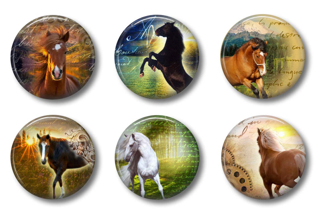 Cute Locker Magnets For Teens - Horse Magnets - School Supplies - Whiteboard Office Or Fridge - Funny Magnet Gift Set (Horses)