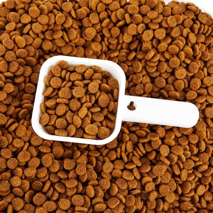 Everyyay Serve & Preserve Food Storage, 35 Lbs.