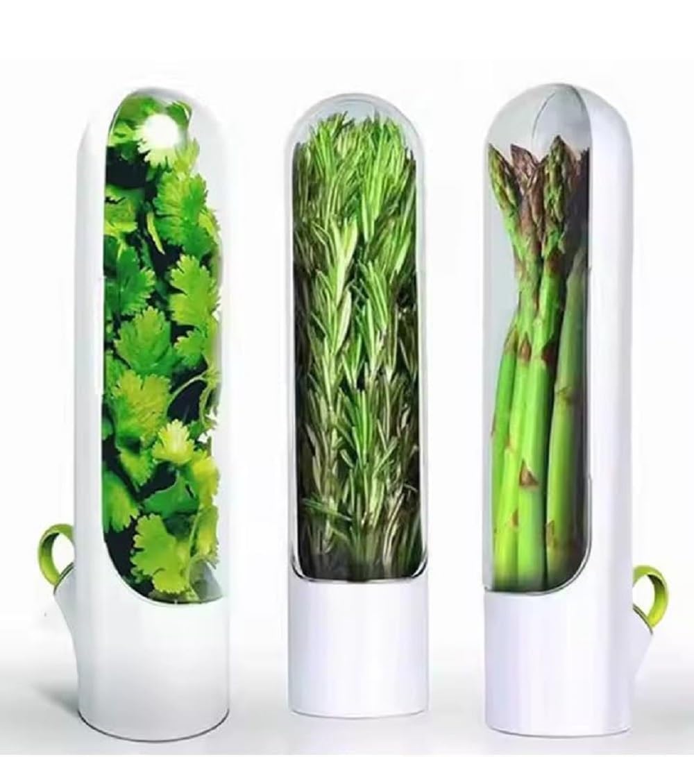 Fresh Herb Keeper For Refrigerator  Airtight Herb Storage Container | BpaFree, Transparent Holder Keeps Coriander, Mint, Cilan