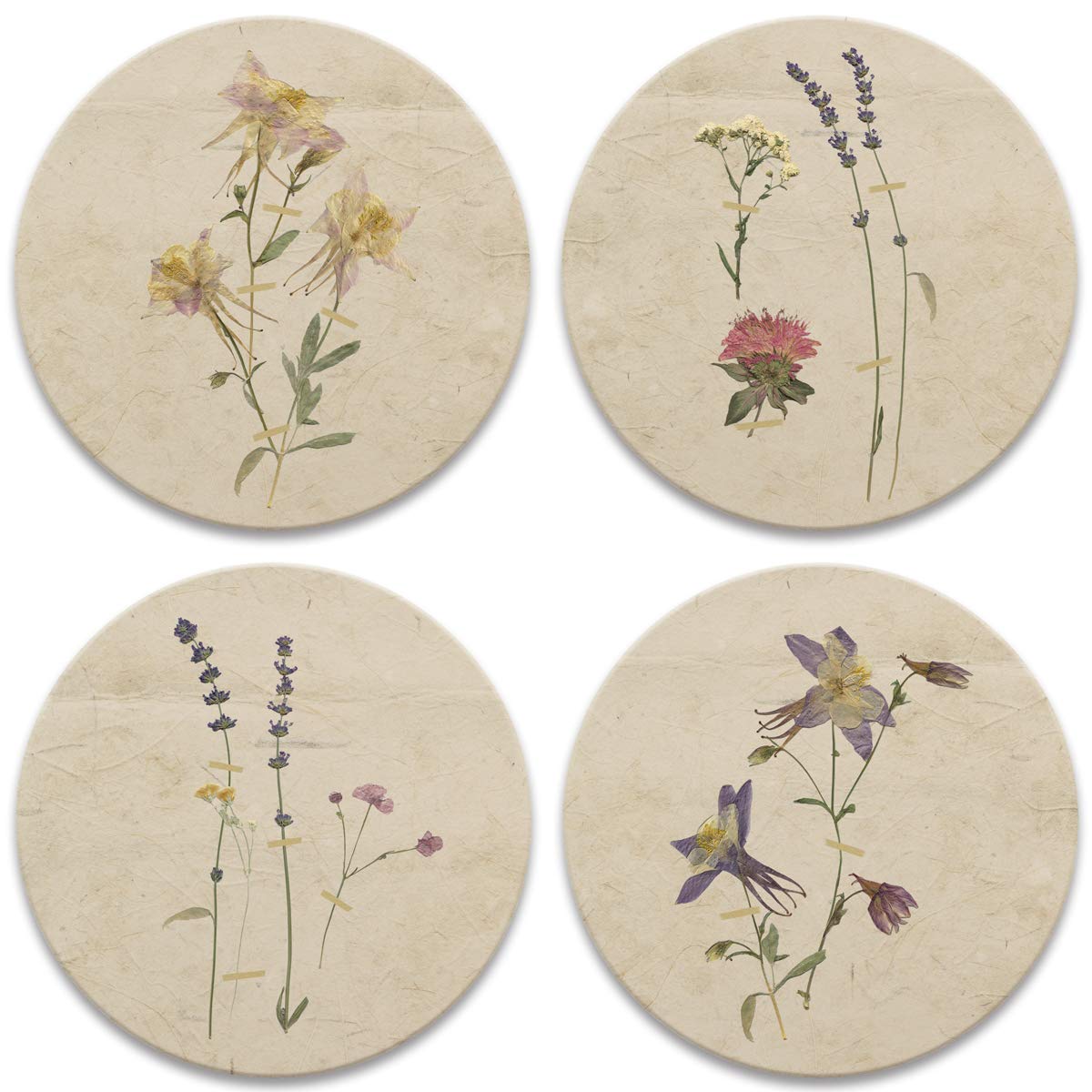 Coasterstone As459 Drink Coasters, 4.25'', Pressed Flowers