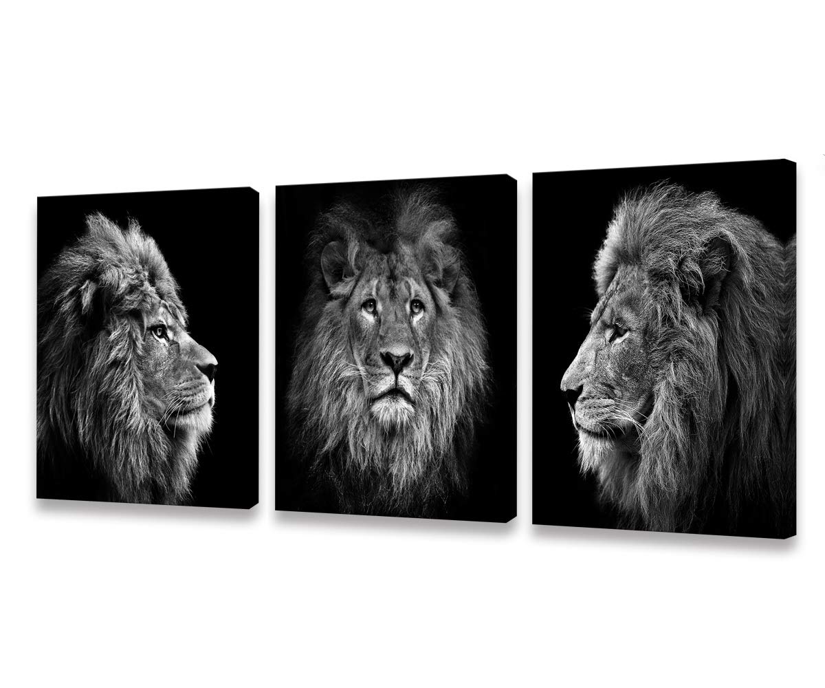 Muolunna Wall Art Black And White Lion Head Portrait Wall Art Painting Pictures Print 3 Pieces Canvas Animal For Bedroom Living