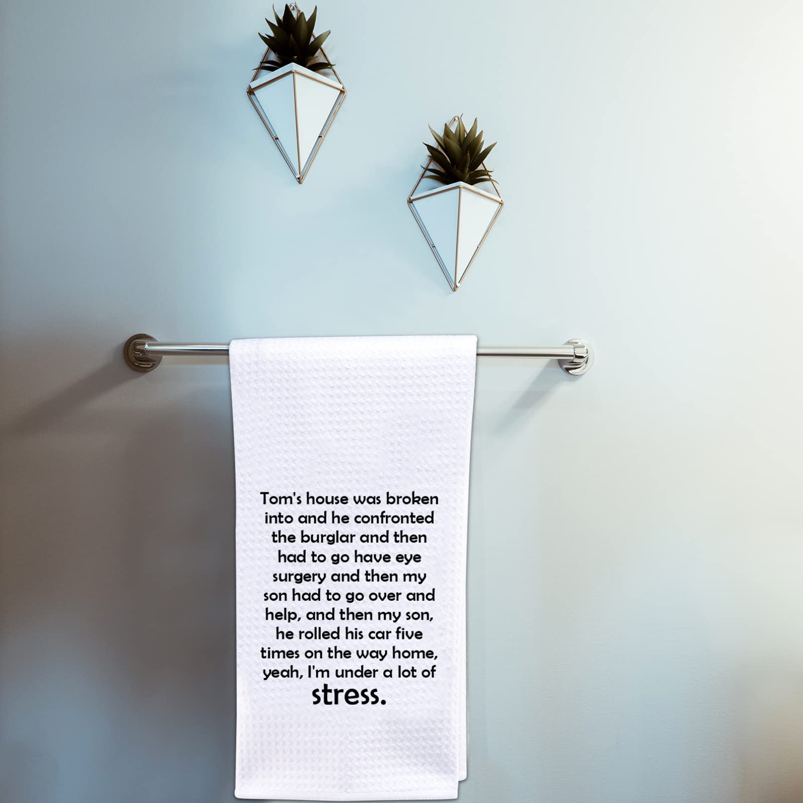 Pofull Housewives Gift Tom'S House Was Broken Into Kitchen Towel Home Decor (House Was Broken Into Towel)