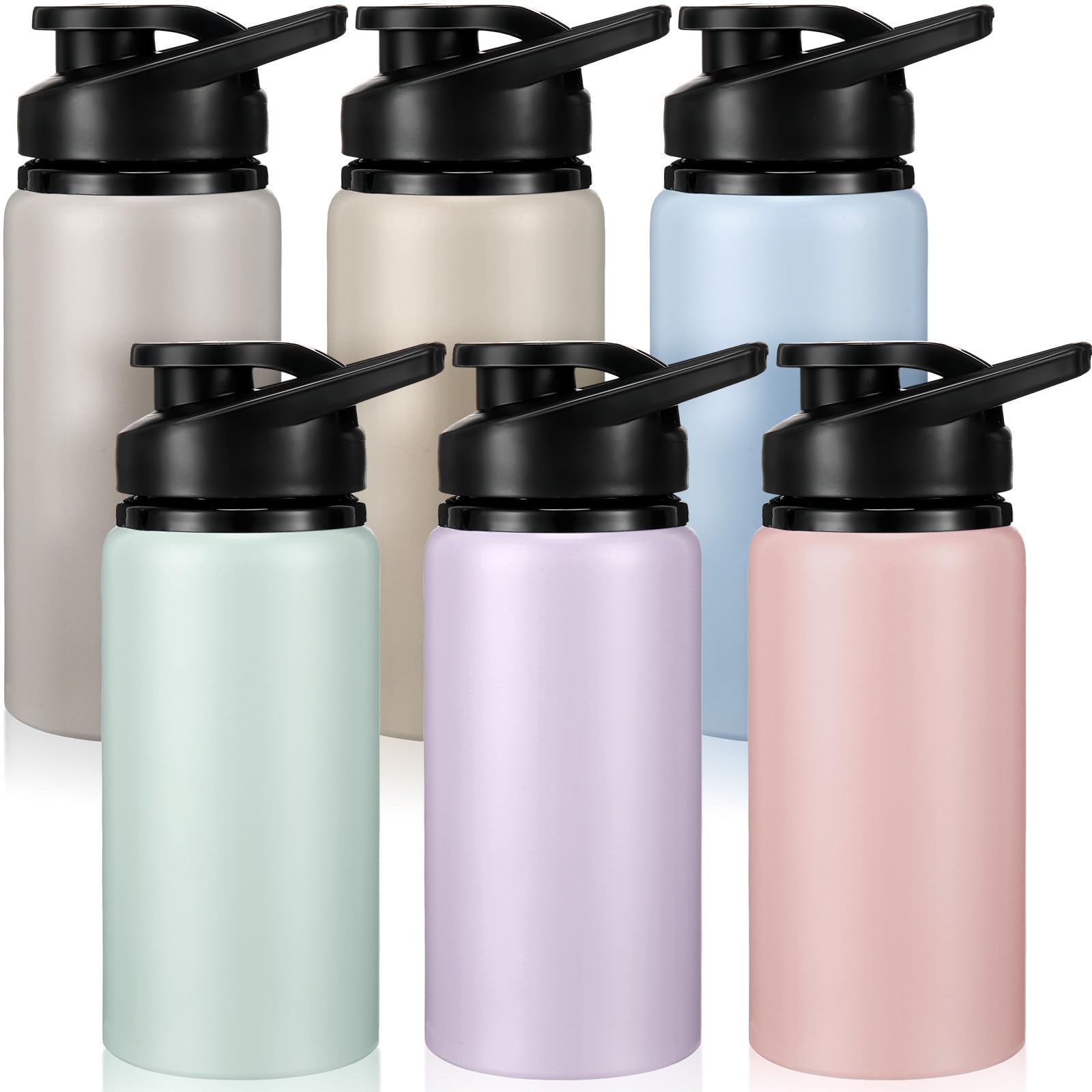 Domensi Aluminum Water Bottle Bulk, 17oz, Morandi Colors 11, 6 Pack