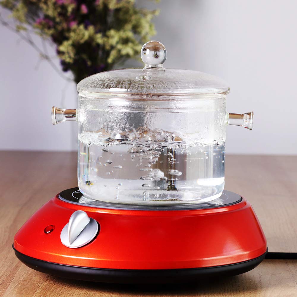 LEAVES AND TREES Y Glass Saucepan 1.5L Borosilicate Clear Stovetop Pot with Lid, Model YR-GSWC