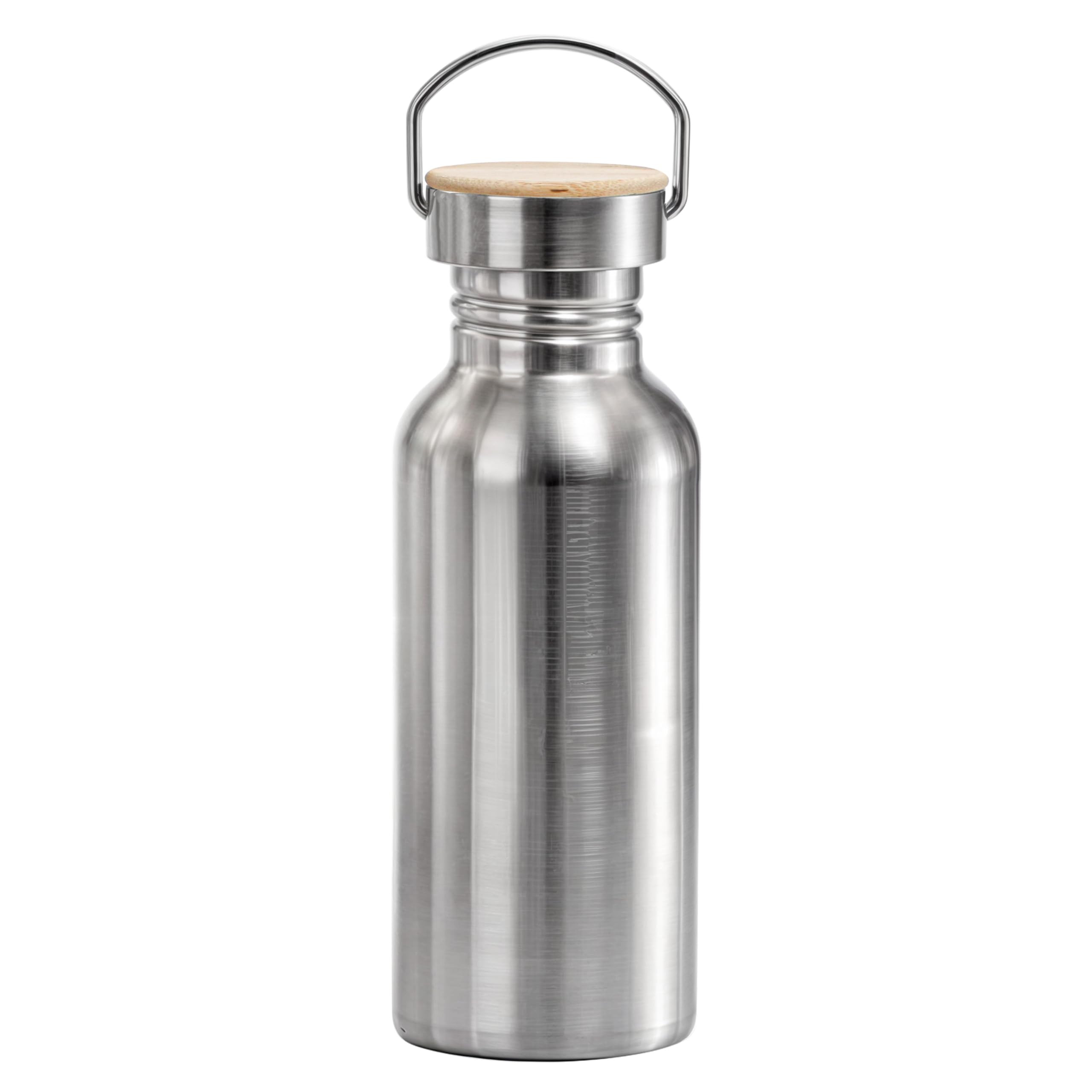 Single Wall Stainless Steel Water Bottle, Uninsulated 17oz Metal Drinking Container, Carrying Loop, Leak Proof, Non Insulated, B