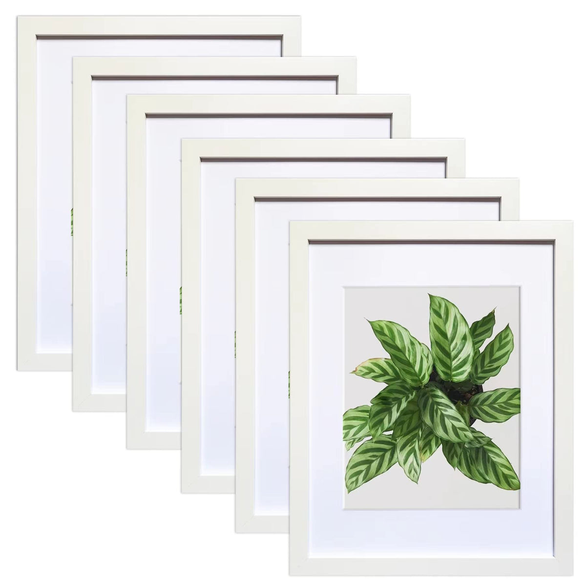 Seseat 11X14 Picture Frames White Display Pictures 8X10 With Mat Or 11X14 Prints Without Mat, Wall Mounting, 6Pcs