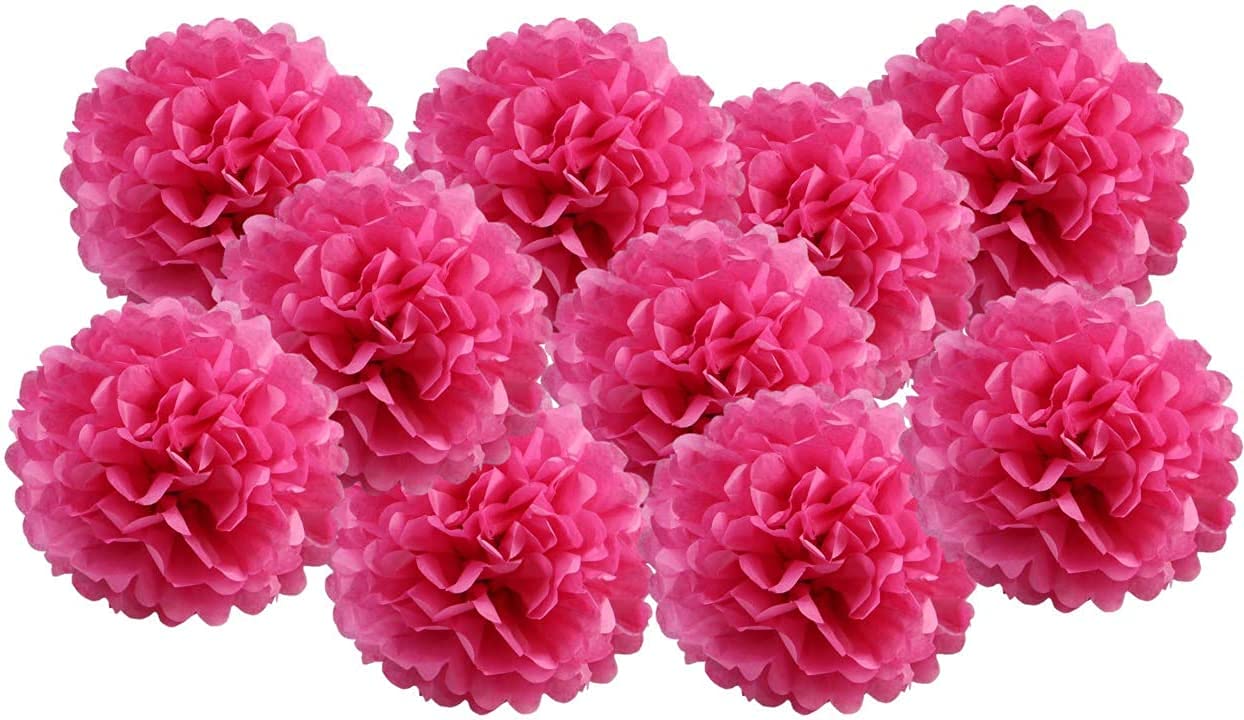 Pack Of 10 Tissue Paper Flower Ball Pom Pom Party Decoration Indoor Outdoor 6'' 8'' 10'' 12'' 14'' (Hot Pink, 12'')