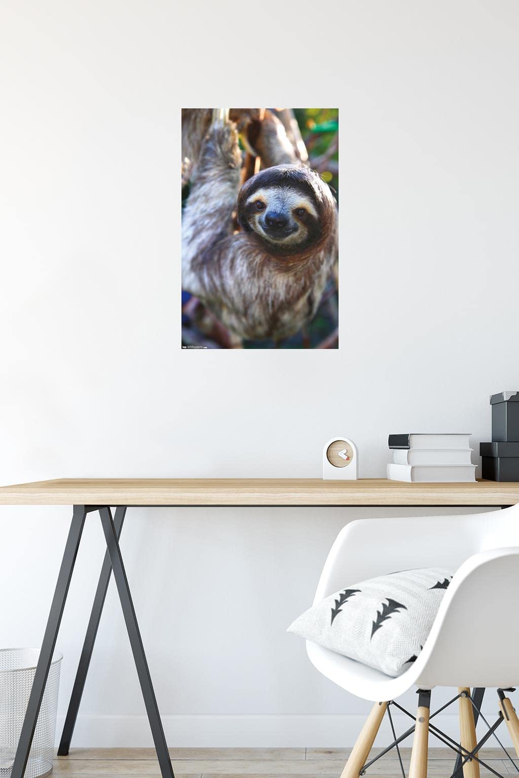 Trends International Sloth - Smile Wall Poster, 14.725'' X 22.375'', Premium Unframed Version