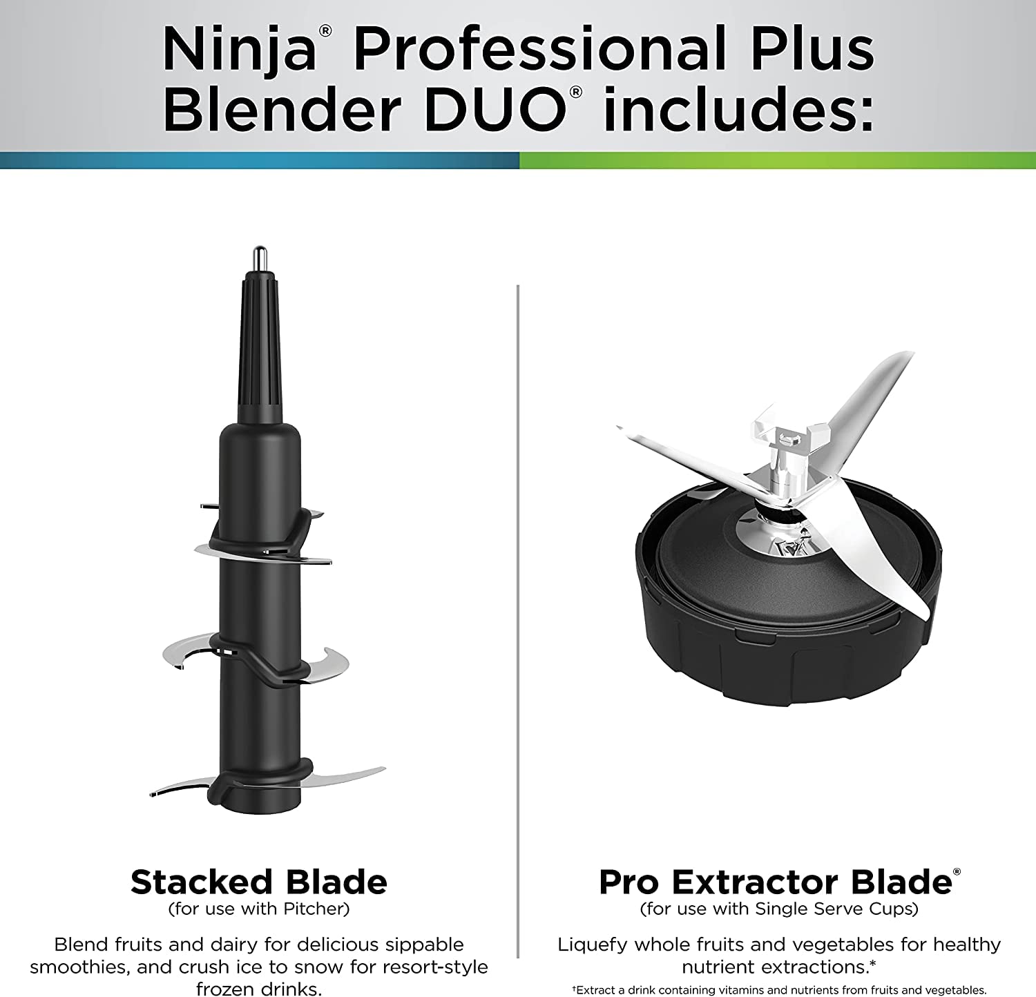 Ninja Bn751 Professional Plus Duo Blender, 1400 Peak Watts, 3 Auto-Iq Programs For Smoothies, Frozen Drinks & Nutrient Extractio